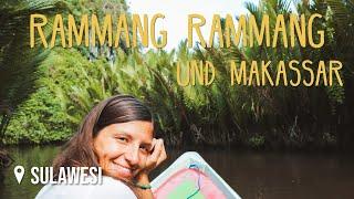 Makassar & Rammang Rammang • #Sulawesi • Weltreise Vlog 133