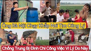 #569] Chồng Trung Bị Đình Chỉ Công Việc Vì Lý Do Này.Ông Nội Chạy Khắp Nơi Báo Cáo Chính Quyền Vì ??