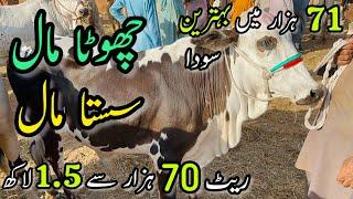 Malir Mandi Me 70k to 150k Wala Maal | Cattle Rates Updates | Cow Mandi 2024