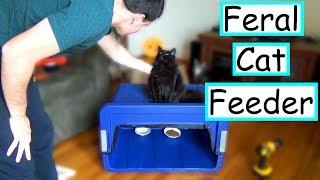 DIY Feral Cat Feeding Station | EASY + CHEAP