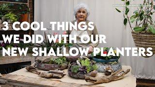 How to Work with Shallow Pot Planters