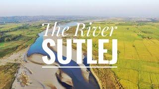 Sutlej River - Punjab, India