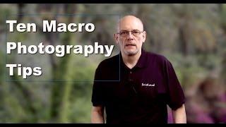 10 Macro Photography Tips