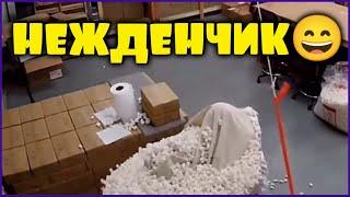 случай на работе#приколы #смех #юмор #смешной #прикол