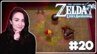 FACE SHRINE? | The Legend of Zelda: Link's Awakening - Ep.20 [Stream]