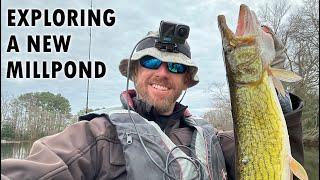 Picking Apart a New Millpond: Tips for Approaching New Waters for Bass, Pickerel, and More