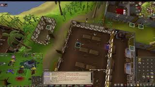 Osrs UIM barrows begins! + afk ironman skilling