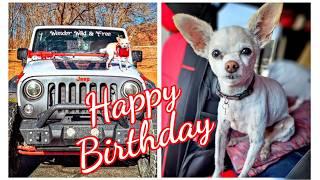 Happy Birthday To My Little Dog | Many Adventures With My Dog