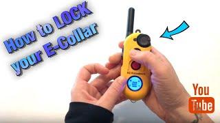 How to Change and Lock the Levels of the EZ-900 Educator E-Collar