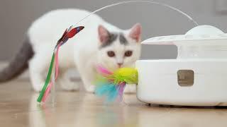 Potaroma Cat Toys 3 in 1 Automatic Interactive Kitten Toy