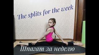 The splits for the week️/Шпагат за неделю️