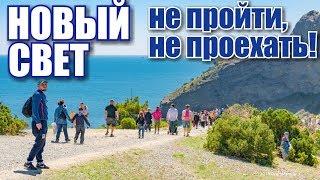 Crimea. New World. Crowds on Cape Kapchik! Juniper grove and sea. Rest in Crimea 2019