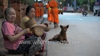 Buddhist monks collecting alms in Luang Prabang, Laos