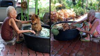 Elderly Lady And Dog Are Best Friends