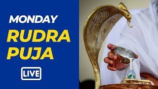 Rudra Puja | 24 June 2024  | Live From VDS Bangalore Ashram