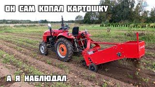 Трактор Shifeng sf 244c картофелекопалка kerland кт-1 он сам выкопал картошку