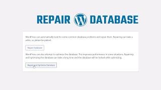 How to Repair and Optimize Your WordPress Database Automatically