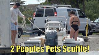 Dogs Go Crazy At The Ramp! | Boynton Beach | Miami Boat Ramps | Broncos Guru | Wavy Boats