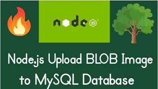 Node.js Tutorial to Insert & Read Image BLOB in MySQL Database Using mysql Library in Javascript