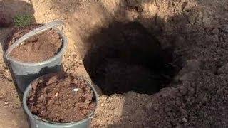 Planting grapes. Preparation of the landing pit and soil