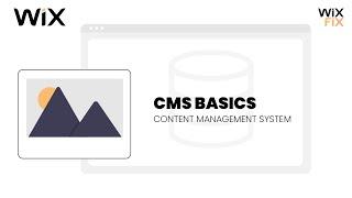 Wix CMS Basics | Wix Fix