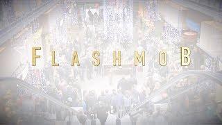 FECG Lahr - Flashmob 2017