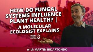 How Do Fungal Systems Influence Plant Health? |A Molecular Ecologist Explains @imperialcollegevideo