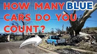 Does BLUE Equal DEW? *Exclusive Never Before Seen Footage* 9 Months After the Lahaina, Maui Fire
