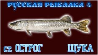 РР4 ОСТРОГ ЩУКА / РУССКАЯ РЫБАЛКА 4 ОСТРОГ ЩУКА / RUSSIAN FISHING 4 OLD BURG LAKE PIKE