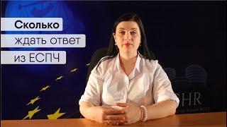 Сколько ждать ответ из Европейского суда (ЕСПЧ) l Answer of ECHR l Réponse de la ECHR