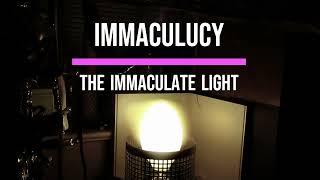 The Bright White IMMACULATE Light (400 watts)  Mercury Lantern!