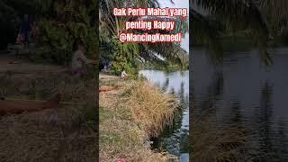 Mancing Cari kesenangan Dulu @MancingKomedi #fishing #mancing #fypシ゚viral #fyp