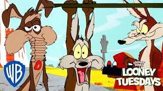 Looney Tuesdays | Ralph VS Wile E. Coyote | Looney Tunes |  @wbkids