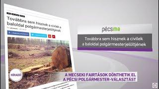 A mecseki fairtások dönthetik el a pécsi polgármester-választást