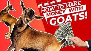 Profitable GOAT Farming: Complete Togo Investment Guide