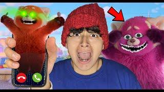 DO NOT CALL RED PANDA MEI FROM DISNEY PIXAR TURNING RED!! (MEI MEI WAS ANGRY!)