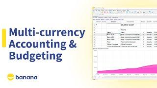 Multi-currency Accounting & Budgeting | Banana Accounting Plus