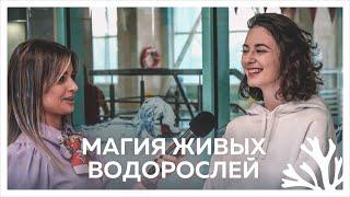 Магия ЖИВЫХ ВОДОРОСЛЕЙ: натуральная косметика для тела