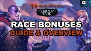 Neverwinter - Race Bonuses Guide and Overview