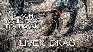 Teach Your Dog To Track Step 1 - Liver Drag