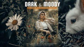 Moody Dark Presets | Lightroom Presets Free Download | Free Lightroom Presets