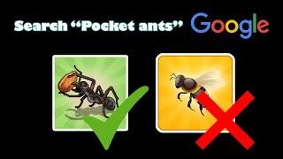 Pocket ants: If I search "Pocket ants" But found Pocket bees, video end