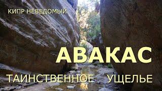 Кипр. Таинственное ущелье Авакас. [Полуостров Акамас. Каньон Авакас. Деревня Пейя. Район Пафоса.]