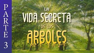 La Vida Secreta de los Árboles | ÁRBOLES Y ANIMALES