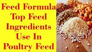 Poultry Feed Feed Formulation | Top Feed Ingredients