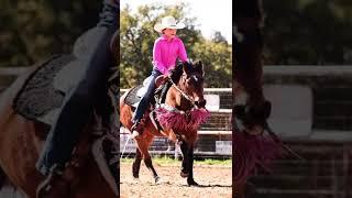 #bay#short #horses #rodeo #barrelracing#goodpony