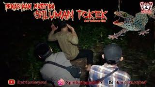 PENARIKAN MUSTIKA SILUMAN TOKEK KM 4, Balikpapan Utara-Kalimantan Timur