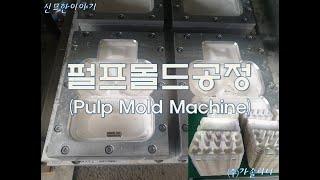 [가솔리니] 펄프몰드공정소개(건식) ㅣ Pulp Mold manufacturing_Egg tray