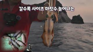 팁런 원도권 내만 다 나옵니다(9월7일)