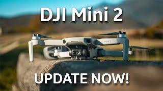 DJI Mini 2 Do This Update NOW!